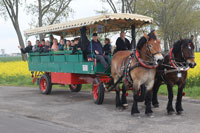 100 Jhare Spielmannszug Taucha